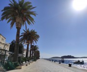 palme riva